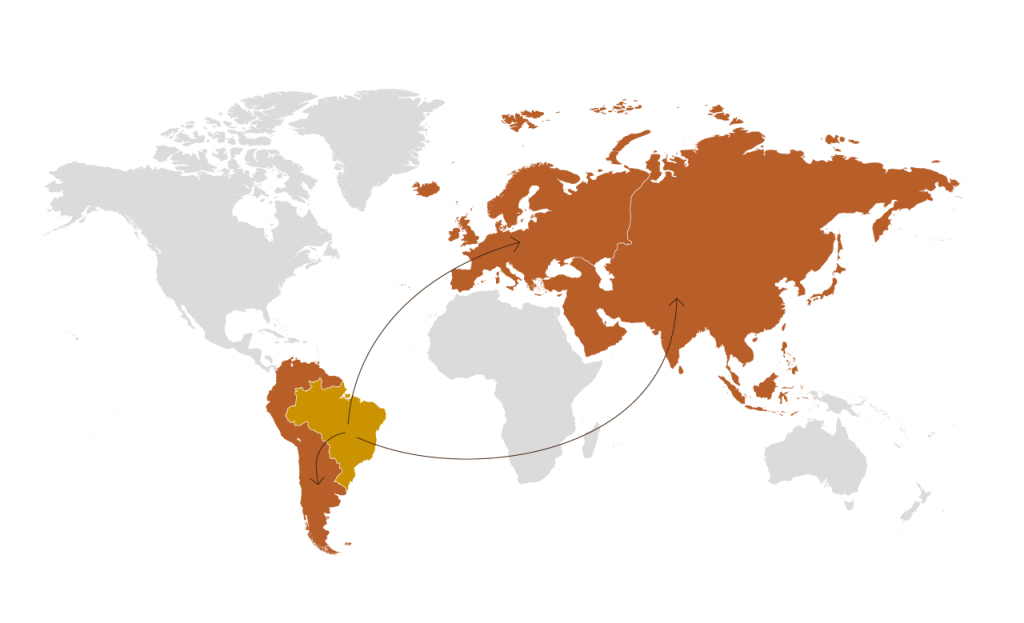 Mapa Mundo