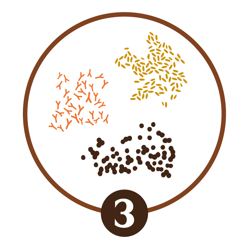 Microrganismos