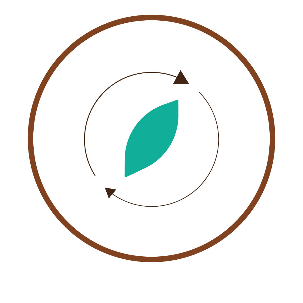 Ciclo